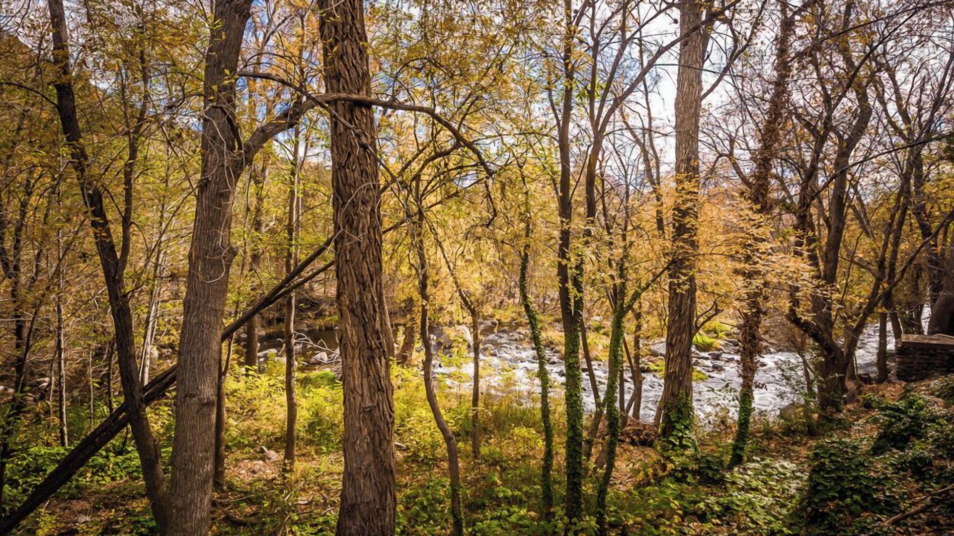 Photo of Others in Sedona