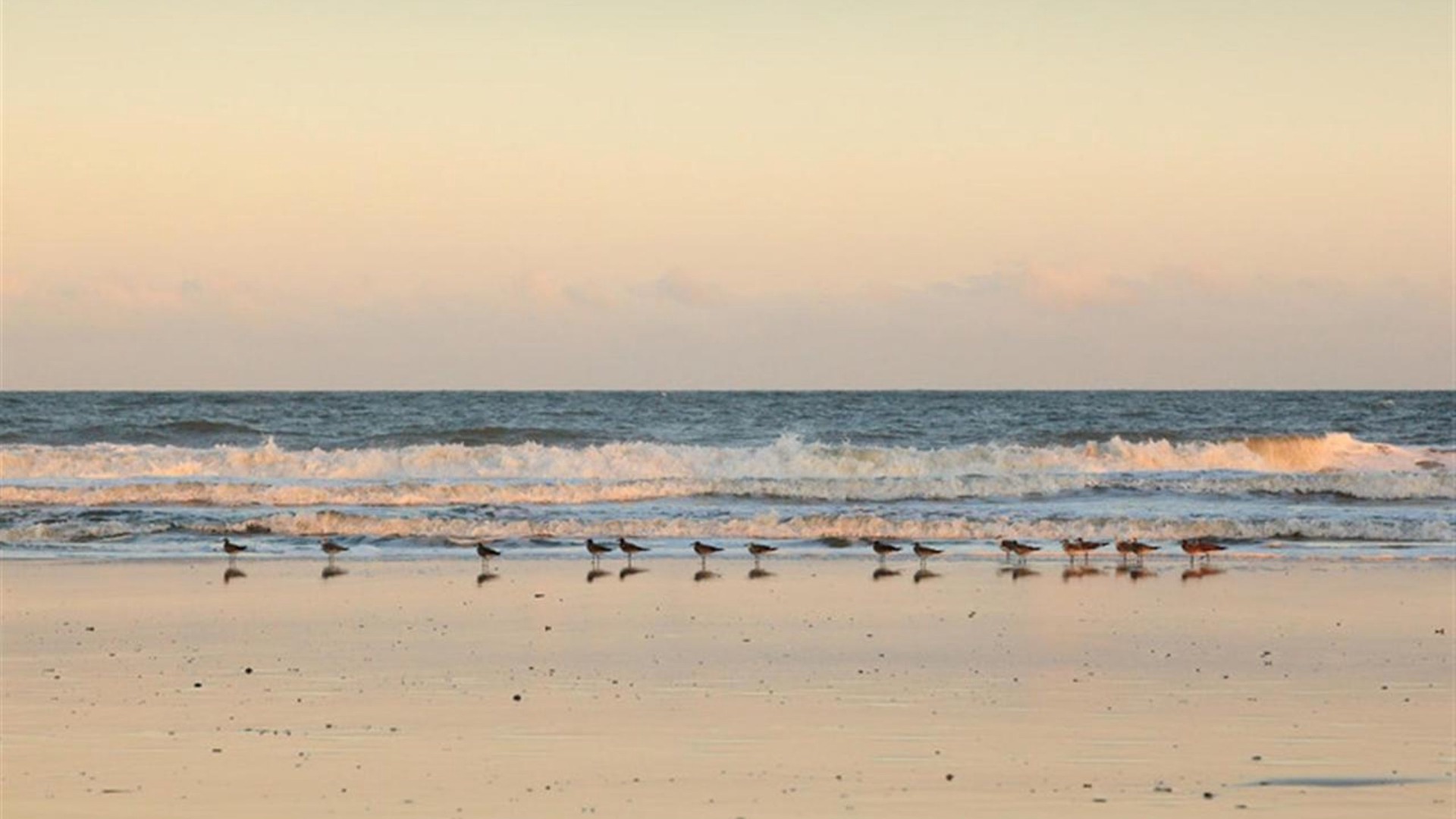 Photo of Others in Ocean Cay