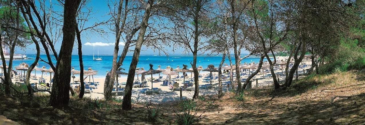 Photo of Others in Colonia Sant Jordi