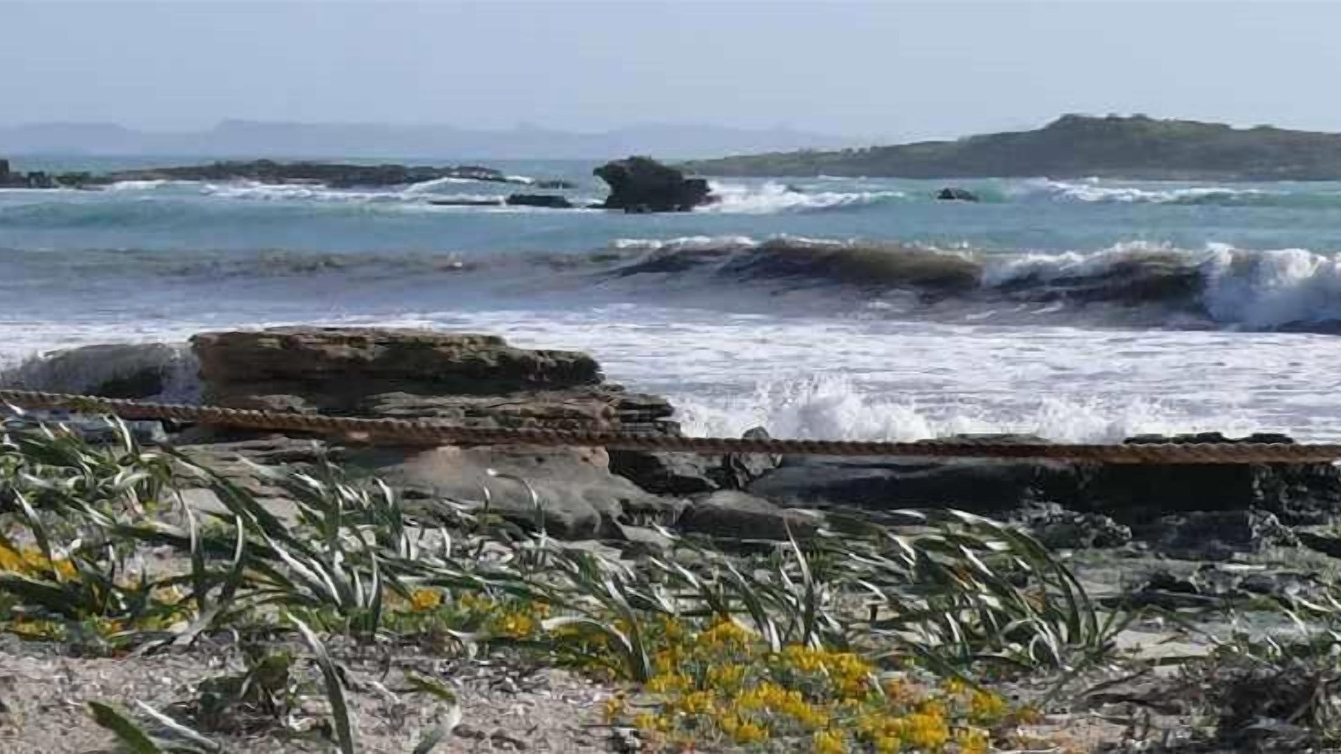 Photo of Others in Colonia Sant Jordi