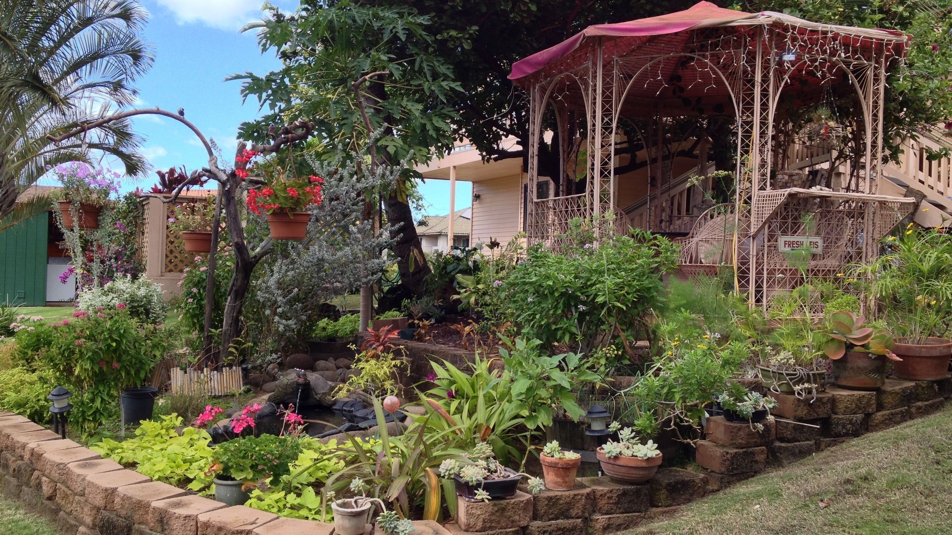 Photo of Others in Kihei