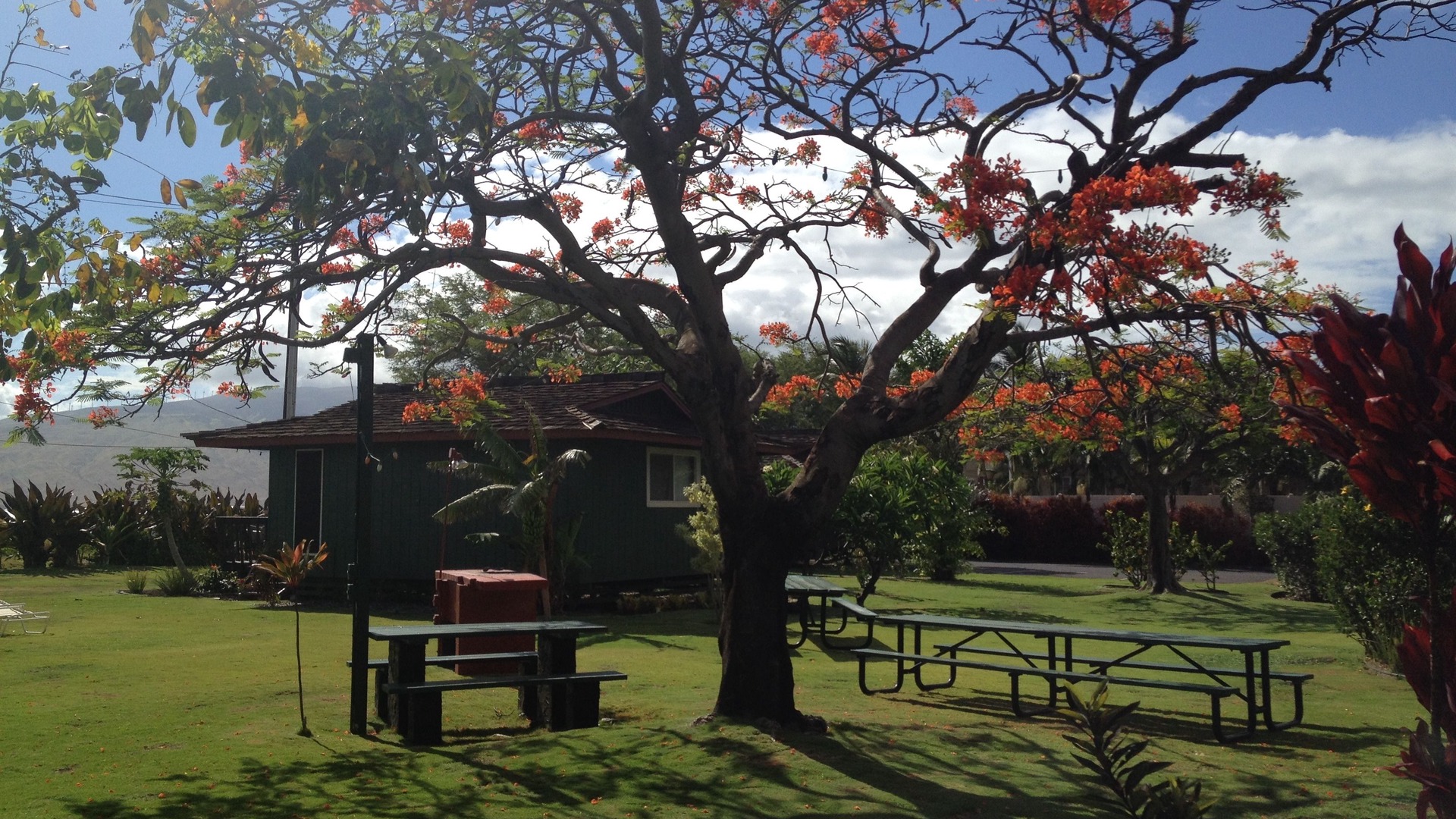 Photo of Outdoor in Kihei