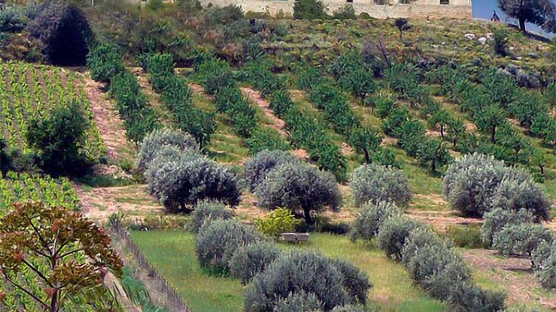 Photo of Outdoor in Casale Modica