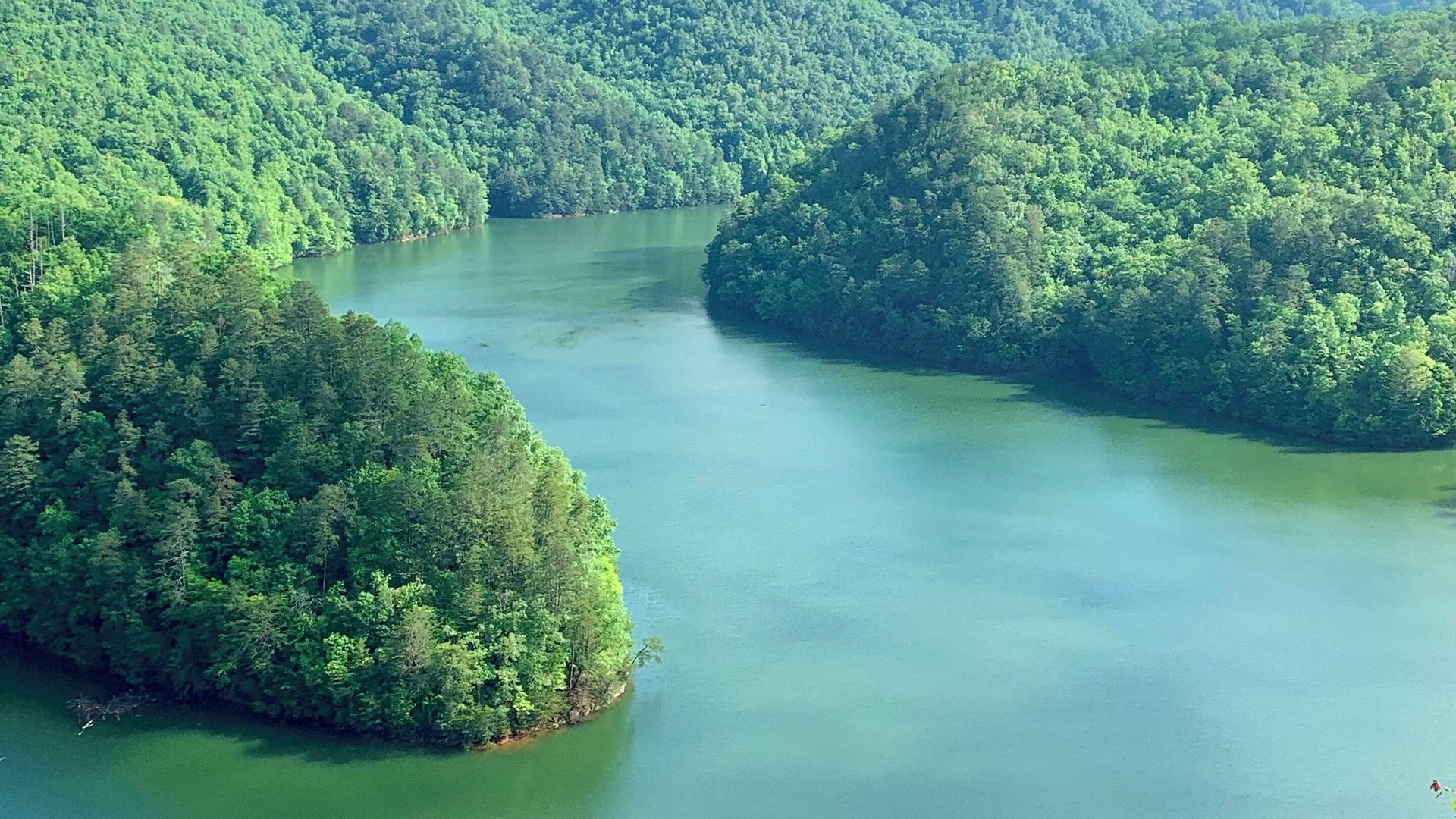 Photo of Others in Bryson City