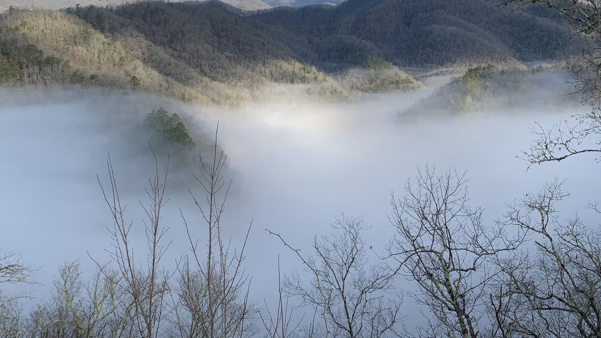 Photo of Others in Bryson City