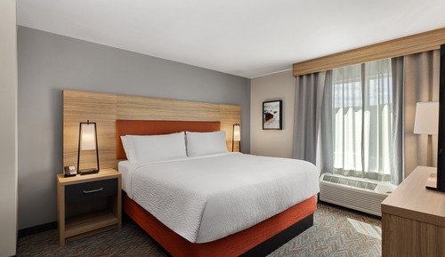 Suite, 1 Queen Bed