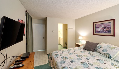 Deluxe Condo, 1 Queen Bed with Sofa bed, Fireplace, Sea View