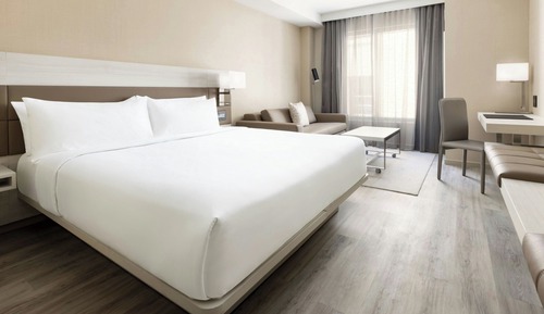 Room, 1 King Bed with Sofa bed