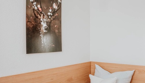 Basic Single Room