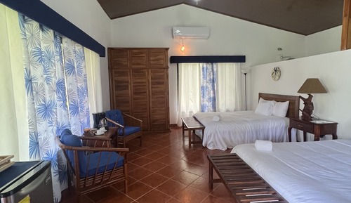 Deluxe Double or Twin Room