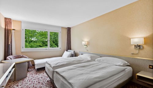 Basic Triple Room