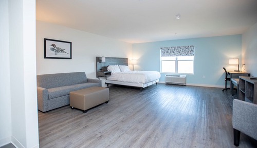 Basic Studio, 1 King Bed, Accessible