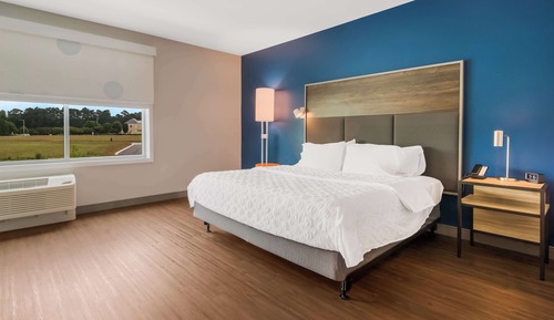 Classic Room, 1 King Bed, Accessible (Roll-In Shower)