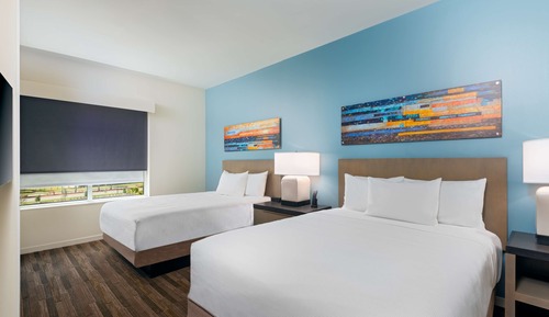 Suite, 1 Bedroom, Kitchen