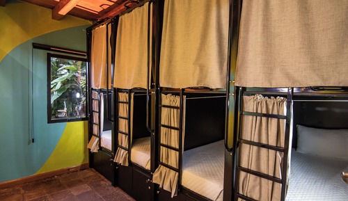 Standard Shared Dormitory