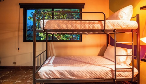 Comfort Shared Dormitory