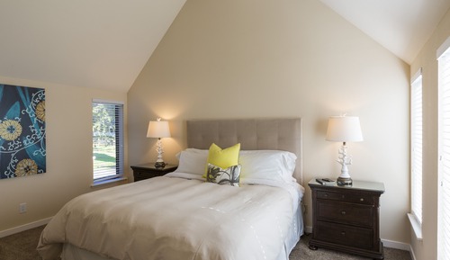 Deluxe King Suite