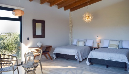 Family Double Room, Vineyard View