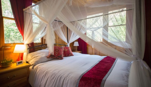 Panoramic Studio Suite