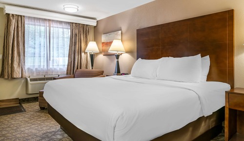 Standard Room, 1 King Bed, Non Smoking, Refrigerator