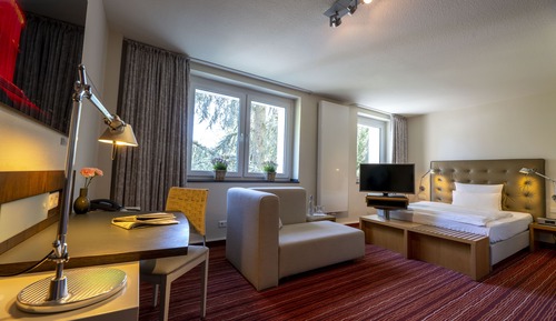 Business Plus Double Room