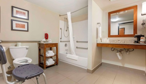 Business Suite, 1 King Bed with Sofa bed, Accessible, Non Smoking