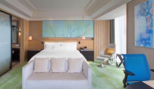 Club Room, 1 King Bed, City View