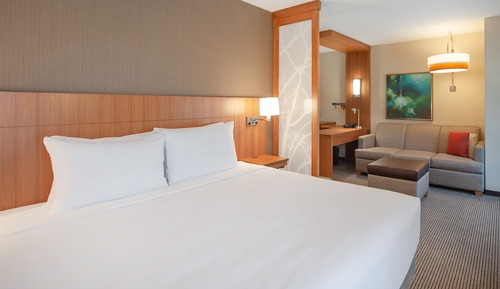 Room, 1 King Bed, Accessible (Shower)
