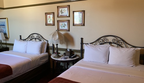 Standard Room, 2 Double Beds