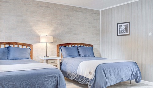 Family Suite- Pet Friendly