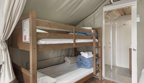 Economy Safari Tent