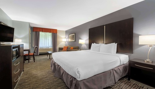 Standard Room, 1 King Bed, Non Smoking (with Sofabed)