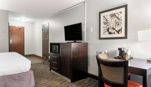 Standard Room, 1 King Bed, Non Smoking (with Sofabed)