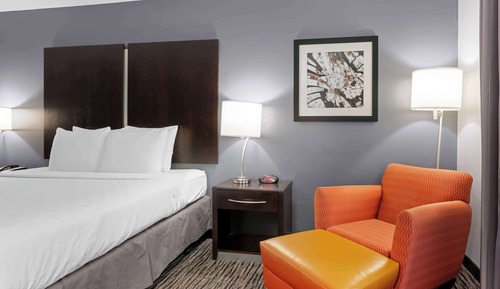 Standard Room, 1 King Bed, Accessible, Non Smoking