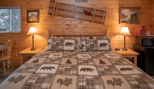 Room, 1 King Bed