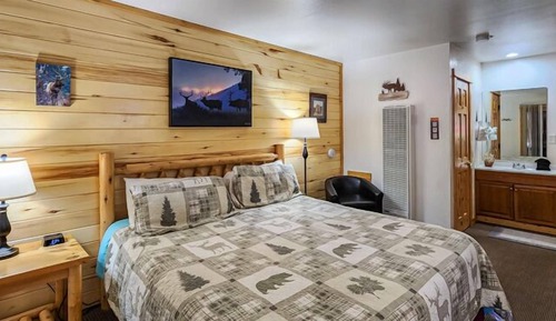 Room, 1 King Bed