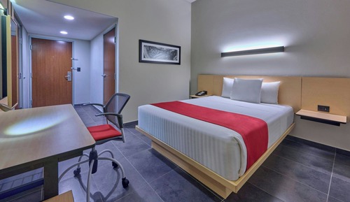Room, 1 Queen Bed