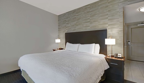 Studio, 1 King Bed