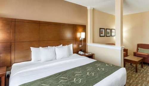Suite, 1 King Bed with Sofa bed, Accessible, Non Smoking