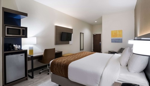 Room, 1 King Bed, Accessible, Non Smoking
