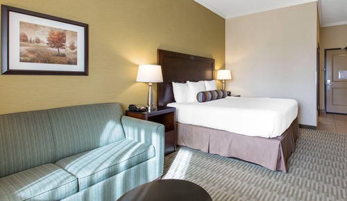 Standard Room, 1 King Bed with Sofa bed, Non Smoking (Pet Friendly)