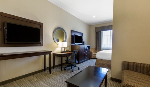 Suite, 1 King Bed with Sofa bed, Non Smoking (Pet Friendly)
