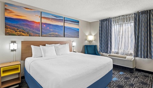 Room, 1 King Bed, Accessible, Non Smoking