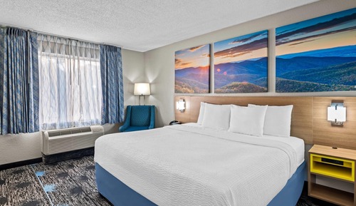Room, 1 King Bed, Non Smoking