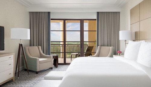 Suite, 1 King Bed, Park View