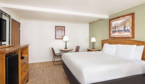 Standard Room, 1 King Bed, Accessible, Non Smoking (Walk-in Shower)