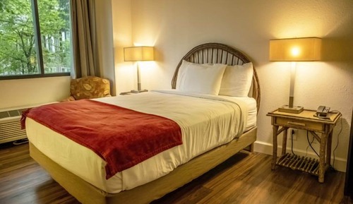 Standard Single Room, 1 Queen Bed, Accessible