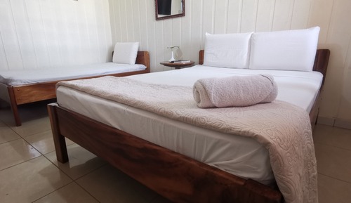 Standard Shared Dormitory