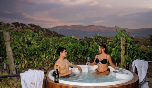 Deluxe Studio Suite, Hot Tub, Garden View
