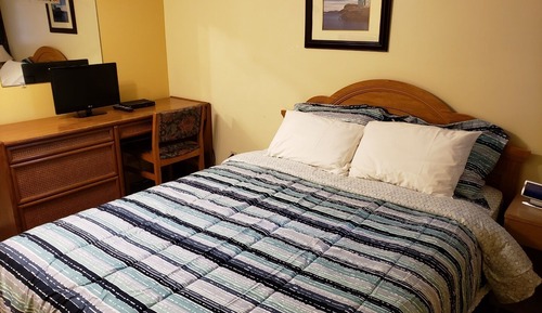 Basic Single Room